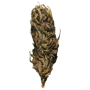 FLEURS CBD BACO KUSH