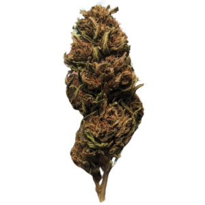 FLEURS CBD JOCOU KUSH