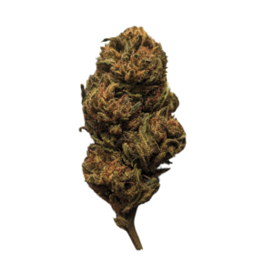 FLEURS CBD OBIOU KUSH